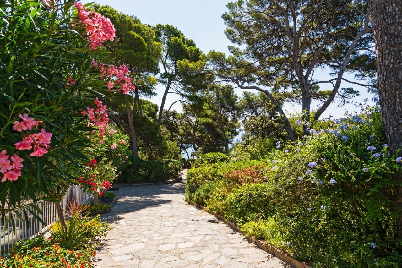 Résidence le Provençal Hyères Exterior foto